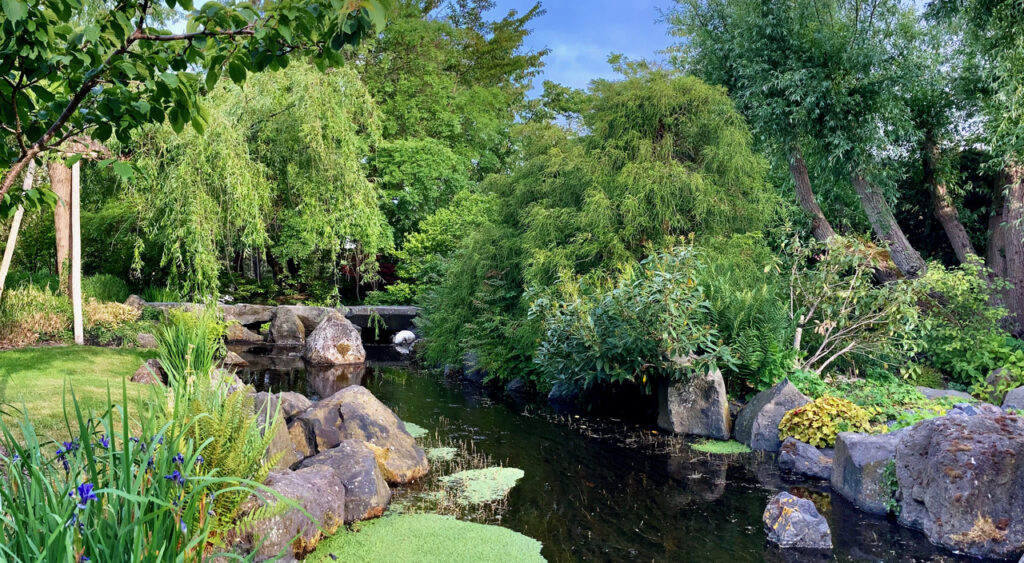 stadswandel historisch havenstad