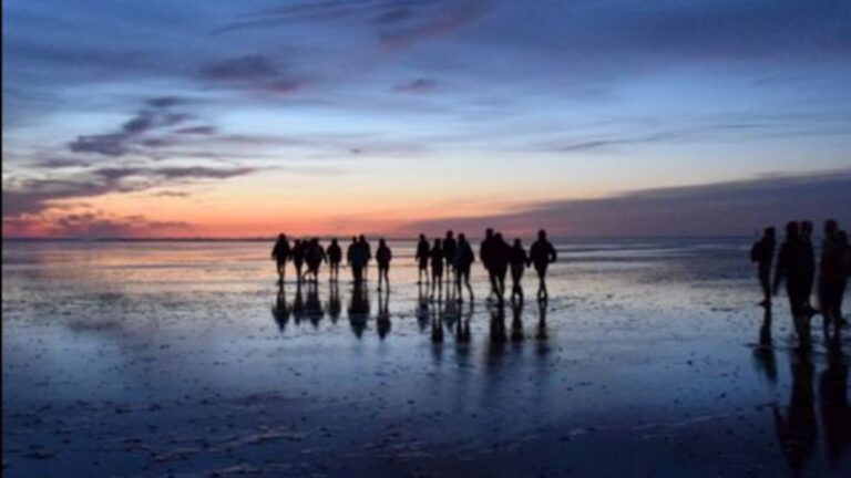 ad95d99e-3b83-4de7-b78f-d192f0df255f-Avond_waddentocht_1920x1080