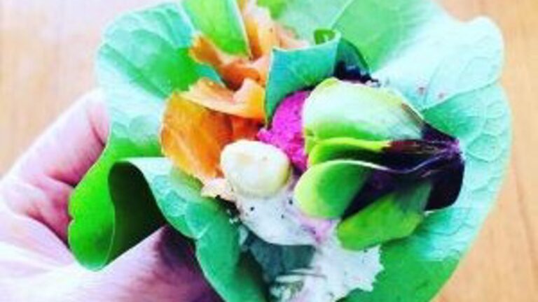 bc04fc4b-7dab-4192-99d5-f9cb2d9fea14-thumbnail_wildkoken_2_1920x1080