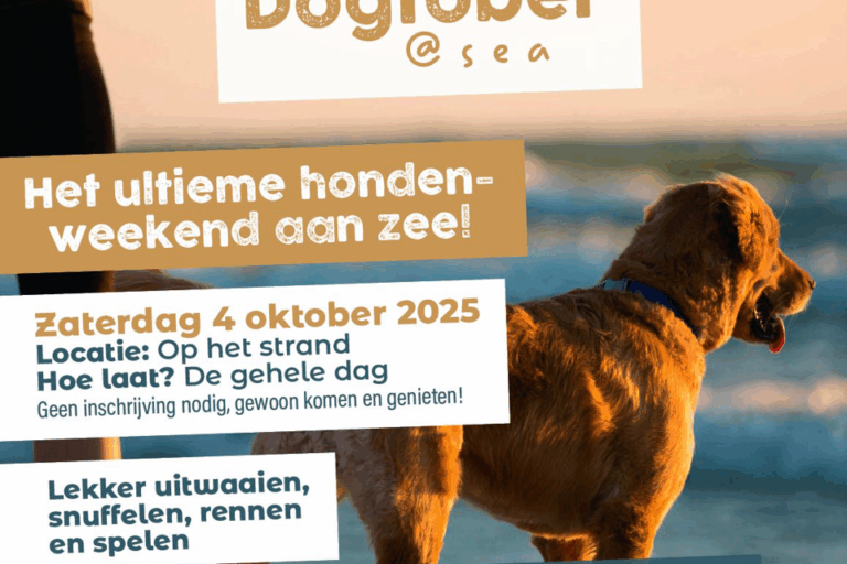 Poster Dogtober 2025