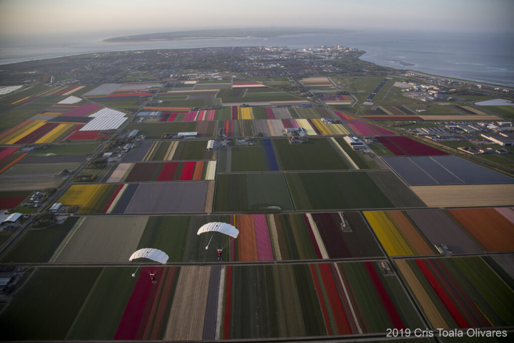 Julianadorp bulb fields from the air