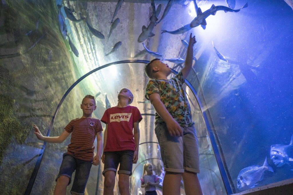 Fortkijkduin Meeresaquarium