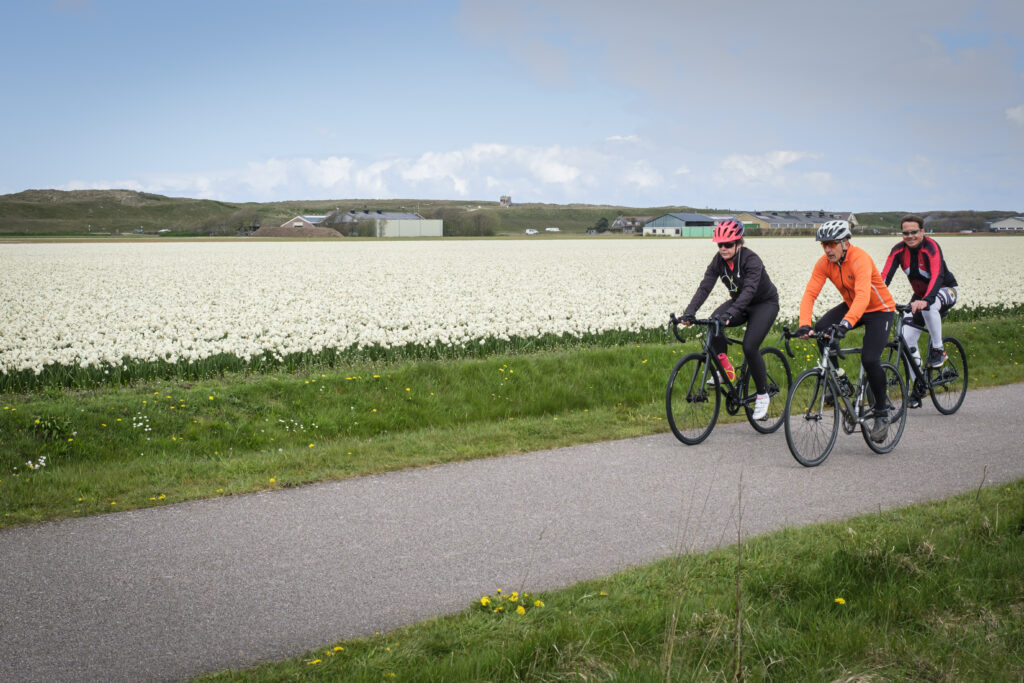 cycling among the tulips