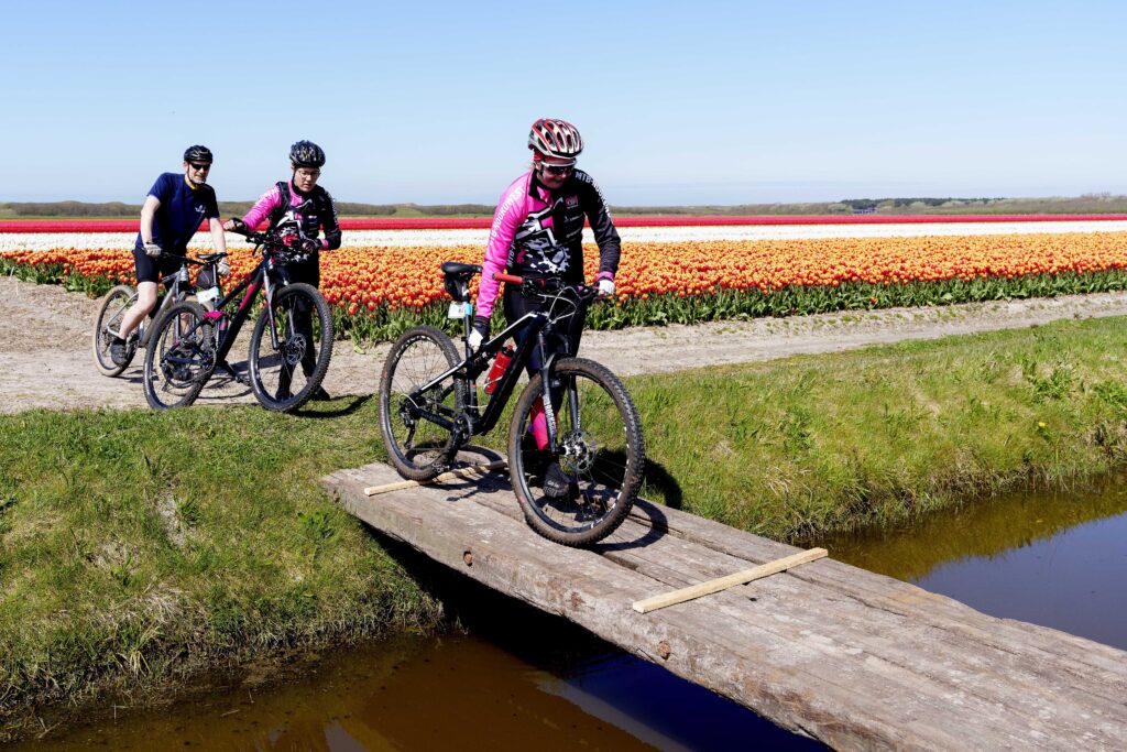 Fietsen tussen de Bollenvelden