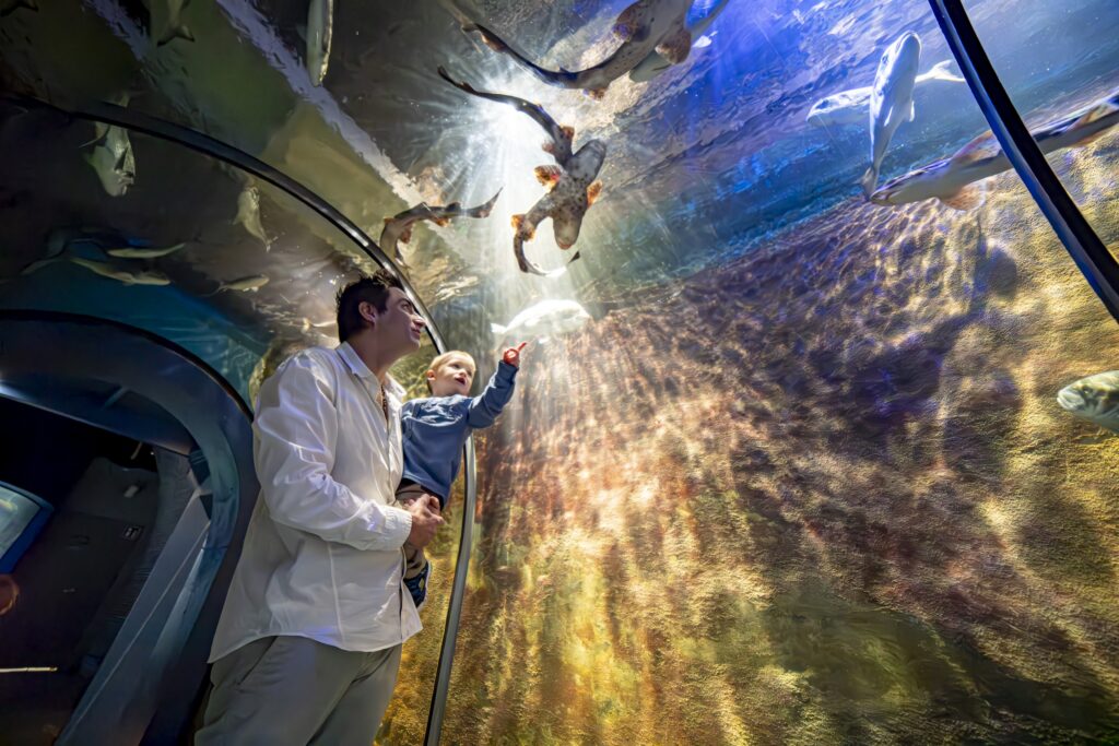 Noordzee aquarium Fort Kijkduin