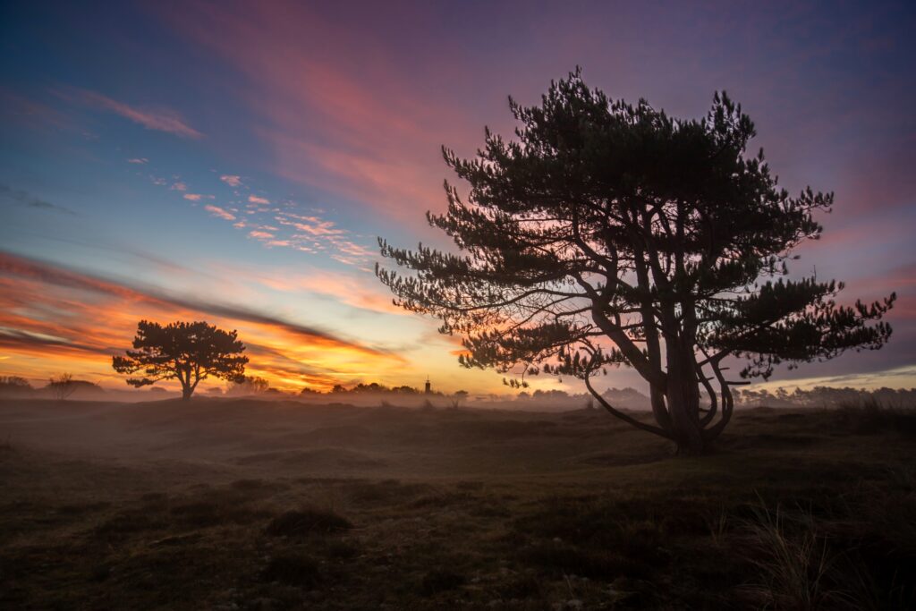 Grafelijkheidsduinen met zonsondergang