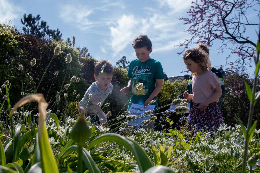 Kinder entdecken Blumen im Hortus Overzee