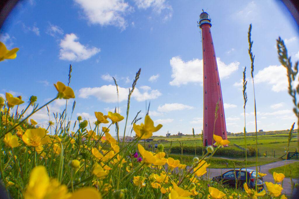 Frühling am Lange Jaap