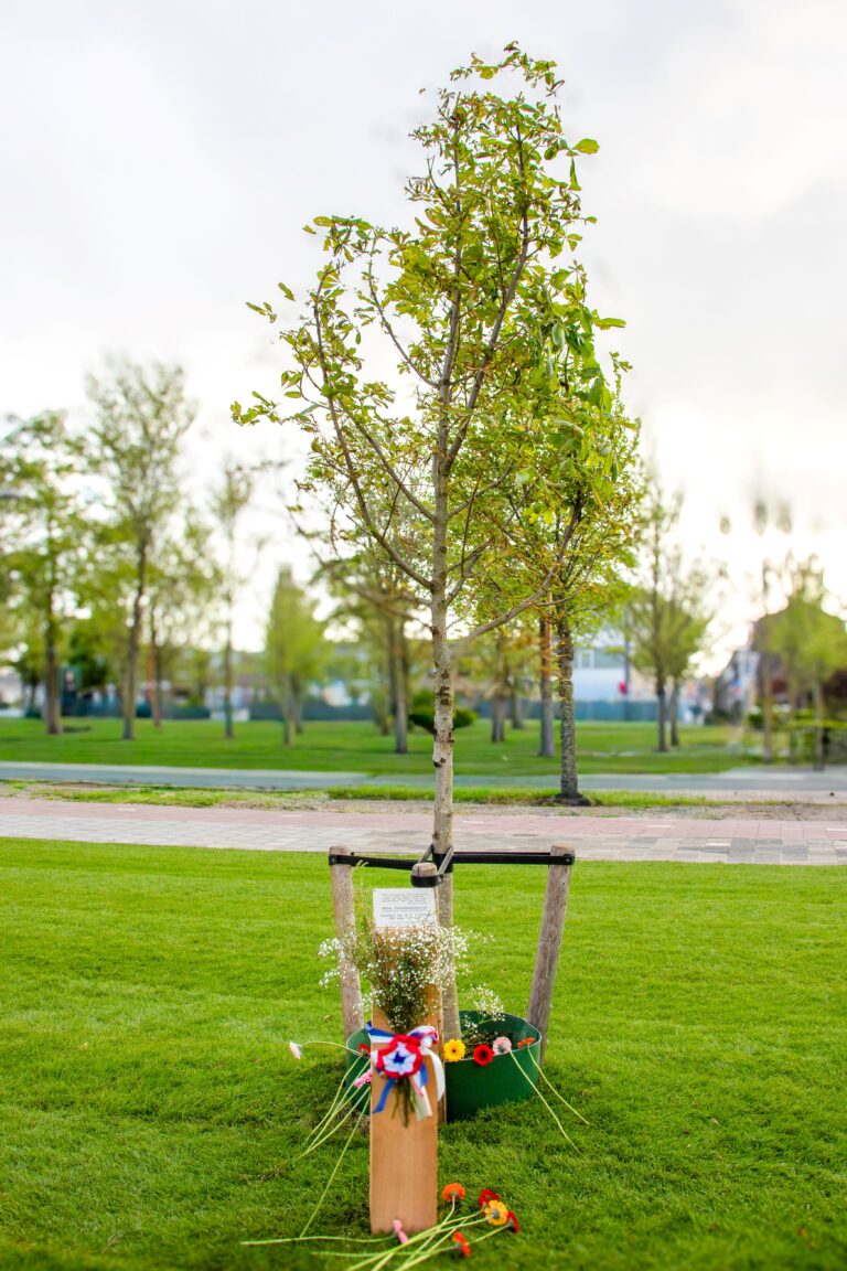 Anne Frank Boom in Den Helder