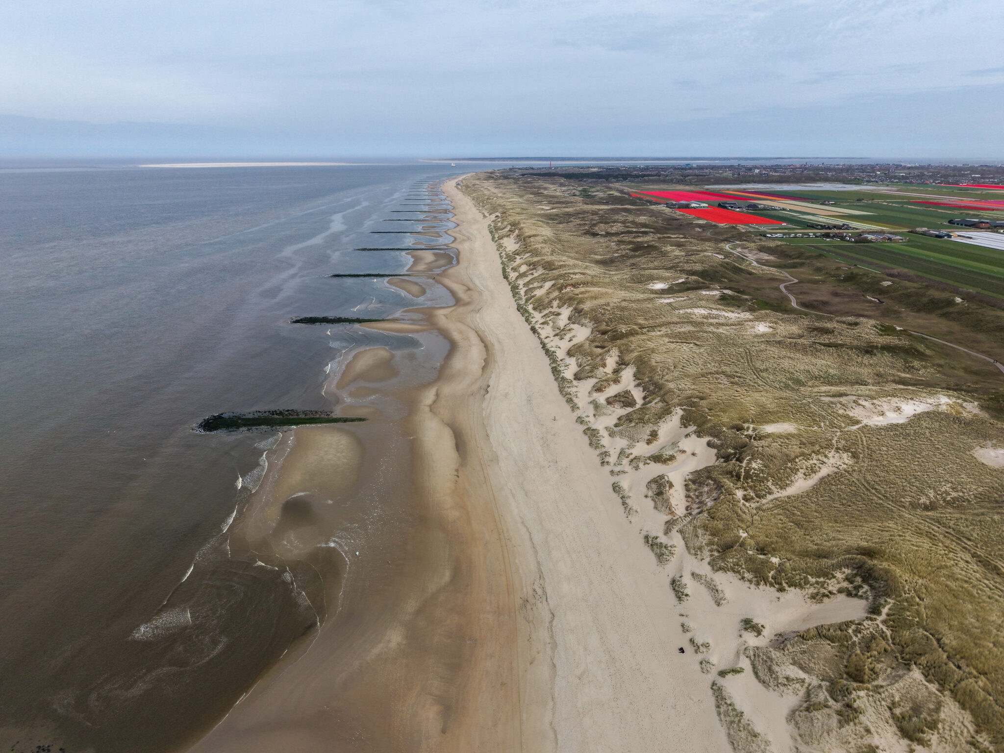 Den Helder beaches have regained the Blue Flag
