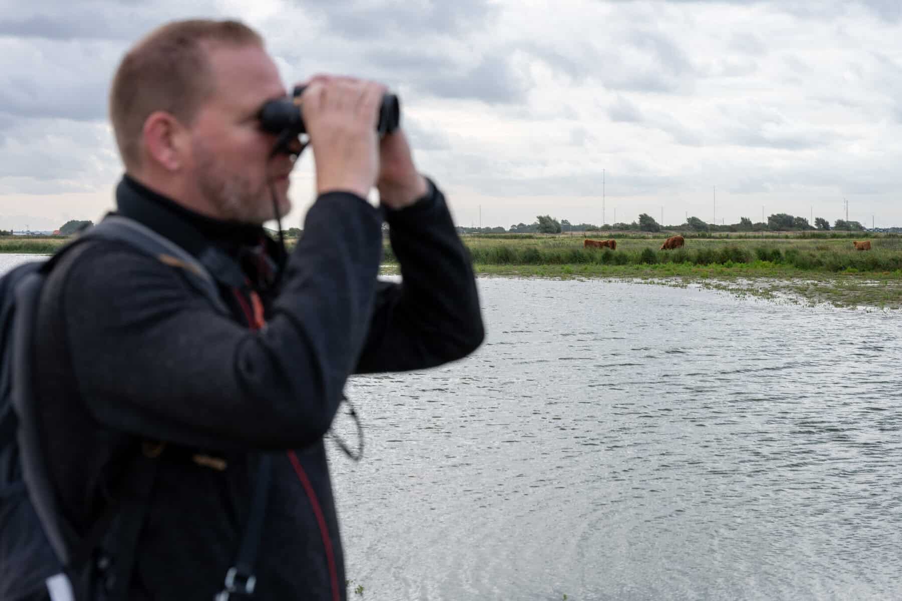 Walter speurt door zijn verrekijker door de natuur. De koeien staan op de achtergrond