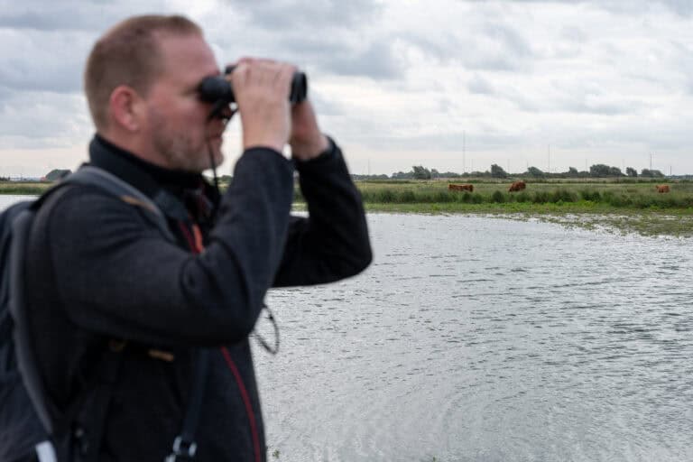 Walter speurt door zijn verrekijker door de natuur. De koeien staan op de achtergrond