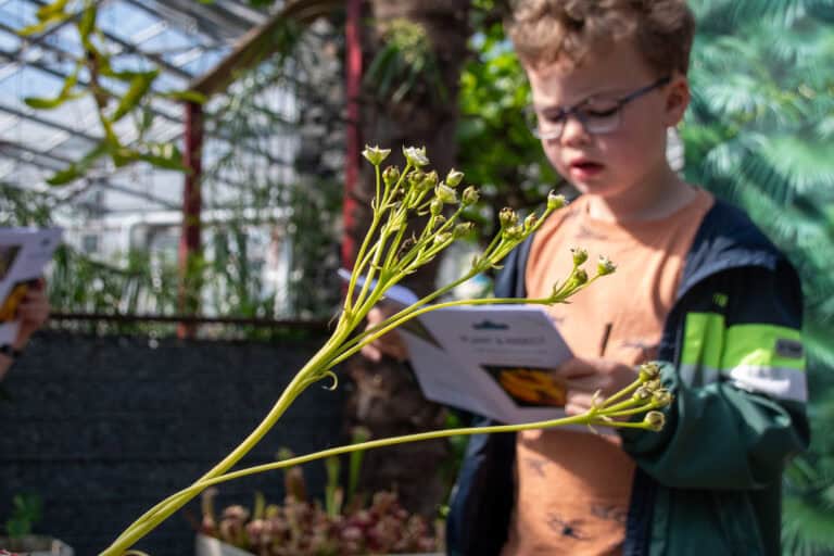 Hortus Overzee - Speurtocht - Kinderen - Stephan Wegman (12)
